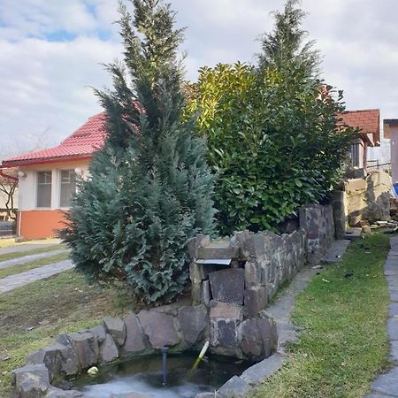 Willa Casa Cu Fantana Borlesti Zewnętrze zdjęcie